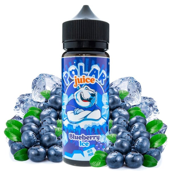 Blueberry Ice 100ml - Polar Juice