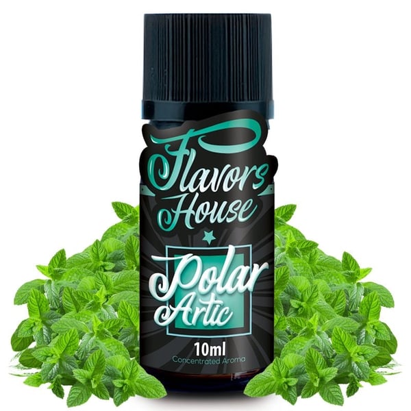 Aroma Polar Artic - Flavors House 10ml
