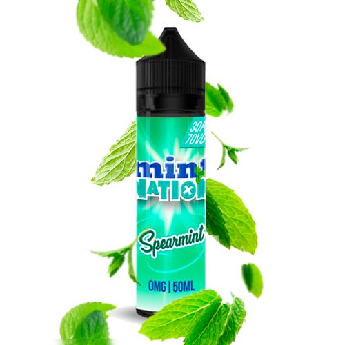 Mint Nation Spearmint Chew