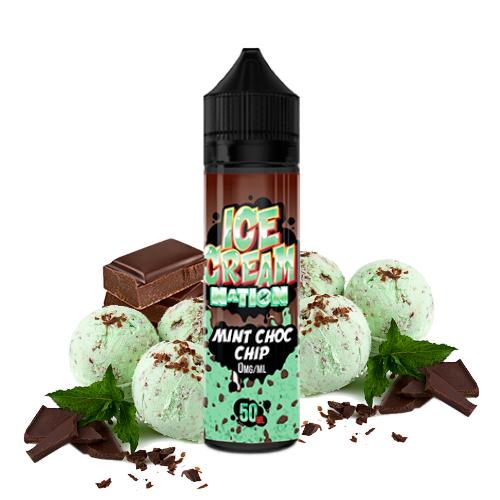 Ice Cream Nation Mint Choco Chip