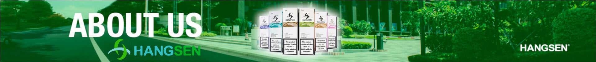 Proporción 50PG/50VG Sales de nicotina Hangsen Nic Salt