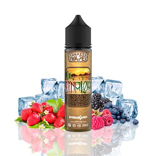 Aroma Easy4Vap Sinaloa Oil4Vap (Shake & Vape)