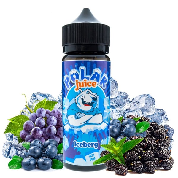 Iceberg 100ml - Polar Juice