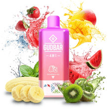 Gudbar 4 in 1 - Strawberry, Love 66, Watermelon Kiwi, Banana